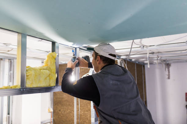 Best Eco-Friendly Insulation in Cleveland, NC