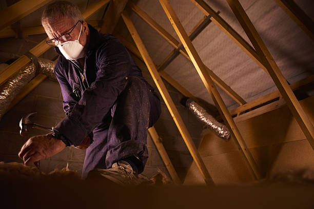 Best Insulation Maintenance and Repair in Cleveland, NC